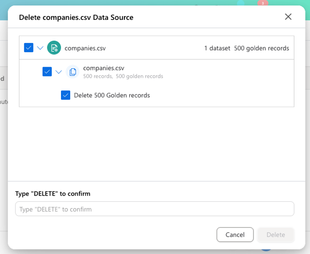 Delete Data Source dialog with the data source, its data set and its golden records selected, and a field to type DELETE to confirm